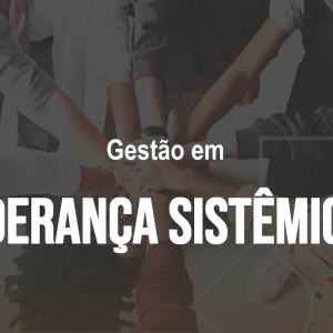 Gestão em Liderança Sistêmica